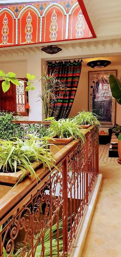 Riad Dar-Cactus-Bleu, Un Ecrin Dans La Medina Marokko