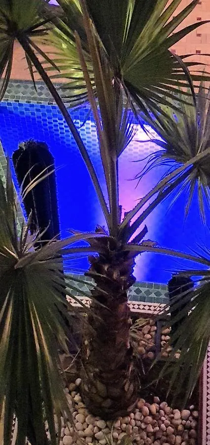 Riad Dar-Cactus-Bleu, Un Ecrin Dans La Medina 0*, Marrakesh