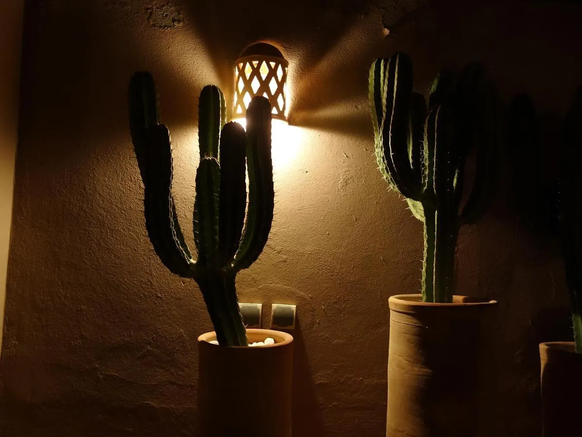 Riad Dar-Cactus-Bleu, Un Ecrin Dans La Medina contacts
