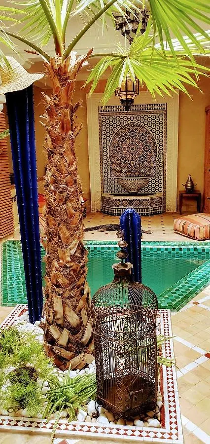 Holiday home Riad Dar-Cactus-Bleu, Un Ecrin Dans La Medina Morocco
