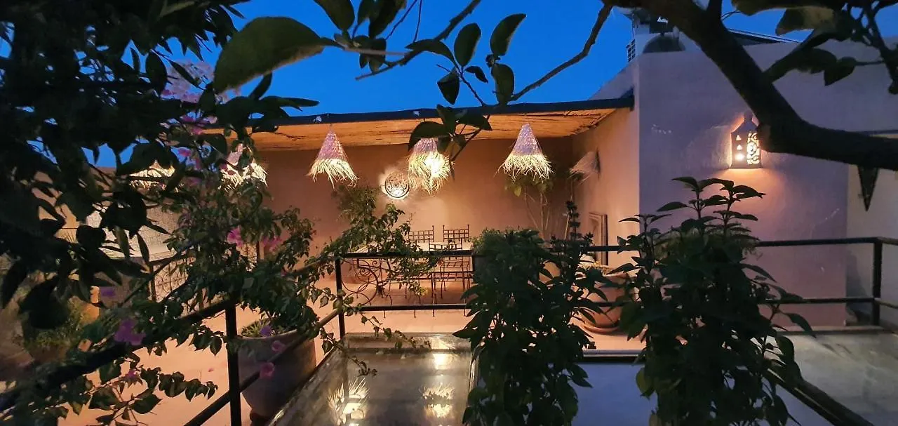 Riad Dar-Cactus-Bleu, Un Ecrin Dans La Medina